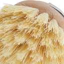 Kchenprofi 2-Pack Replacement Brush Refill for Classic Dish Washing Brush