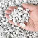 50 QT Professional Grade Horticultural Organic Vermiculite and Perlite (Large Size - Perlite, 50 QT)