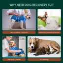 Kuoser Dog Recovery Suit, Female/Male Post-Surgery Anti-Licking Pet Surgical Suit, Blue, Medium, Cotton and Spandex Blend, Medium