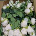 Hotop 80 Pcs Artificial Rose Flowers Bulk with Long Stem Fake Roses Silk Realistic Bouquet for DIY Wedding Bridal Shower Party Table Centerpieces Home Decorations(Beige)