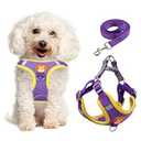 Dog Harness for Small Dogs, Adjustable No Pull Harness for Small Dogs Comfort Reflective Small Dog Harness and Leash Set with 2 Leash Clips, Puppy Dog Vest Harness for Small/Medium Dogs