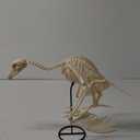 JOYIN Vulture Skeleton Halloween Decorations 19.7 inch Posable Animal Skeletons with Movable Joints for Indoor Outdoor Yard Garden Lawn Photo Props Decor, Trick or Treat, Spooky Scene Party Favors