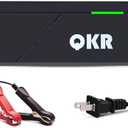 14.6V 10A LiFePO4 Battery Charger Special for 12V LiFePO4 Battery, Trickle Charger for Lithium Iron Phosphate Battery, Battery Maintainer, Built-in Safety Protections, Support Fast Charging