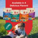 2 x Plato Pet Treats Air Dried Small Bites Dog Treats, Natural Bite Sized Real Meat & Duck, Grain Free & High Protein, Made in the USA, 6oz (6 Ounce (Pack of 1))