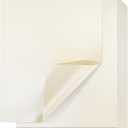 Best Paper Greetings Ivory Metallic Paper - 96 Sheet Shimmer Papers, Letter Size 8.5x11, Double Sided, Laser Printer Compatible, Perfect for Wedding, Baby Shower, Birthday Invitations, Craft