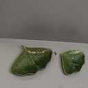 Boho Stoneware Gingko Leaf Shaped Plates, Set of 2 Sizes, Green