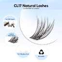 LA MAESII 144Pcs Lash Clusters, Wispy Natural Eyelash Clusters,10-14mm Individual Lashes Eyelash Extension,Large Tray(PL17)