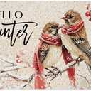 Hello Winter Sparrow Bird Door Mat, Snowy Christmas Berry Bird Doormat for Front Door Indoor Outdoor Entrance Porch, Winter Xmas Welcome Mat Outside, Xmas Holiday Bath Mats, 17x30 Inches
