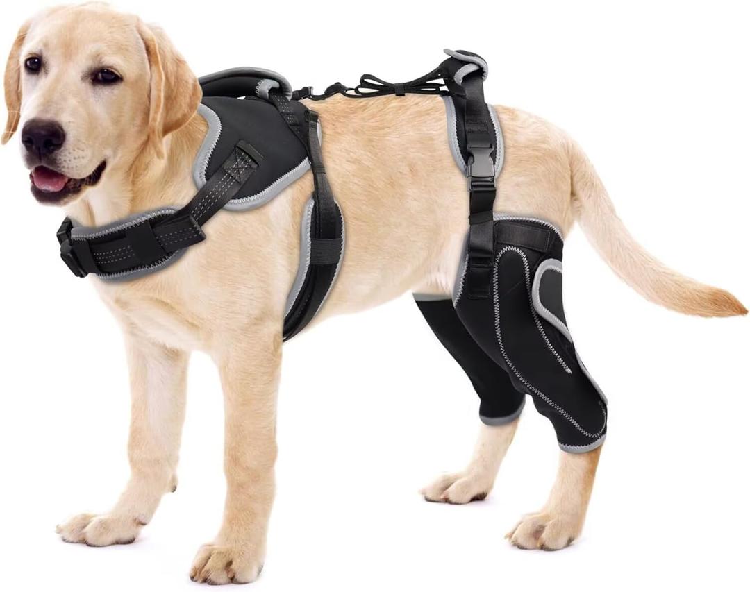 Dog Knee Brace for Torn ACL/CCL Hind Leg,Adjustable Support with Sufficient Wrapping and Support & Luxating Patella,Non-Slip Joint Brace,Pain Relief&Better Recovery-Both Leg-Upgraded/L