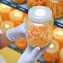 Membrane Filter Sticker 58 mm 0.2 um Strong Adhersive Filter Disc for Mushroom Cultivation (58 mm,24 pcs)