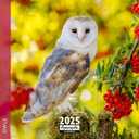 Aquarupella 2025 Calendar - Monthly Wall Calendars - 12-Month Calendar, 12" x 12", Owls
