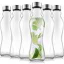 JoyJolt Spring Glass Water Bottles Set of 6-18 oz Glass Bottles with Stainless Steel Caps - Glass Drinking Bottles with Leakproof Lids - Reusable Glass Juice Bottle - Container Bottle Set