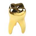 Dental Teeth Modle Handicrafts Ornaments Office Tooth Model Gift for Display Decoration Clinic Desktops (Golden