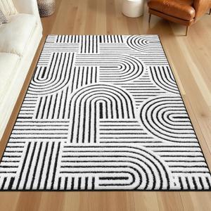 SHACOS Soft Cozy Fluffy Arch Pattern High Low Pile Rugs 3'x5' Non Slip Washable Scandinavian Minimalist Rug Modern Geometric Arc Carpet for Living Room Bedroom Dining Room, Black/White