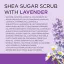Dr Teal's Shea Sugar Scrub, Lavender Essential Oils, 19 oz (Pack of 3)