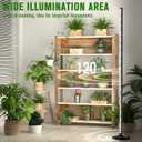 bedee LED Grow Light for Indoor Plants: 65 Inch Full Spectrum Plant Lights for Seed Starting with Timer and 10 Level Dimmable Standing Plant Growing Lamp for Greenhouse with Hanging Accessories