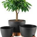 Fielda 8/10/12 Inch Self Watering Pots for Indoor/Outdoor Plants - Large Plastic Planter with Drainage Holes, Water Level Indicator & Deep Reservoir, Modern Decorative Flower Pots (Black)