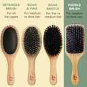 Boar Bristle Paddle Hair Brush - Smoothing Wood Brush for Thick, Curly & Wavy Hair, Detangling Natural Bristles for Women, Stimulates Scalp (Pack of 1)