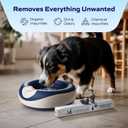 Standard Replacement Filters (6-Pack)