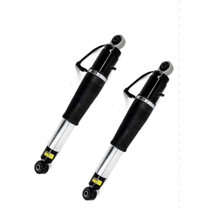 APZL 12823605 20853196 2 PCS Rear Shock Absorber w/Magnetic Compatible with Cadillac SRX 2010 2011 2012 2013 2014 2015 2016,SAAB 9-4X 2011-2016,20853197,20953566,20853196,20953567