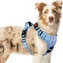 rabbitgoo Dog Harness Medium Sized, No Pull Pet Harness with 3 Buckles, Adjustable Soft Padded Vest with Control Handle, Walking Reflective Pet Vest for Medium Dogs, Floral Blue, M