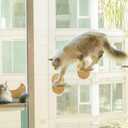 4-in-1 Window & Wall Mount Cat Wall Shelves  Hammock, Scratching Post & Perch | Fits up to 40 lbs | Space-Saving Pet Furniture for Windows, Glass & Drywall | Modern Wood Cat Shelf Set