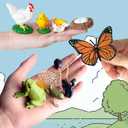 6 Set Montessori Life Cycle Learning Toys - Early Education Activities for Kids