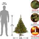 National Tree Company Pre-Lit Artificial Medium Christmas Tree, Green, Kincaid Spruce, Multicolor Lights, Includes Stand, 4 Feet