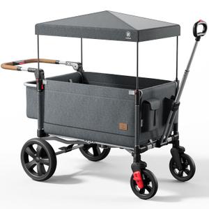 EVER ADVANCED Side-unzip Wagon Stroller for 2 Kids, Push Pull Stroller with Adjustable Handle, Easy Access Front Zipper Door, 5-Point Harness Removable UV-Protection Canopy Shock-Absorbing Wheels,Grey (Gray)