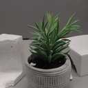 MyGift Artificial Eucalyptus Plant in Modern Gray Concrete Pots with Geometric Embossed Pattern (1,)