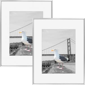Frametory, 16x20 Metal Picture Frame with Mat for 11x14 Picture & Real Glass, Aluminum Photo Frame Collection (Silver, 2 Pack)
