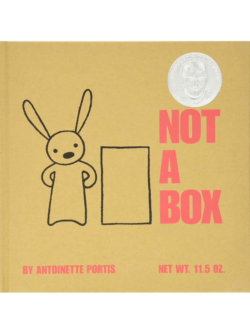 Not A Box Book