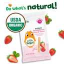 Little Bellies Organic Strawberry Pick-Me Sticks Baby Snack (Pack of 5 x 0.56 oz Individual Packs) (EXP 01/26/27)