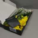 Waipfaru 20 Pcs Fake Yellow Roses Babys Breath Artificial Flowers Bulk, Silk Yellow Rose Faux Babys Breath with Long Stems for Wedding Bouquet Vase Flower Arrangement