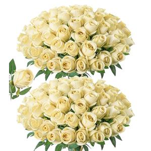 DREAMLOOM 50pcs Roses Artificial Flowers, Fake Roses Realistic with Long Stems Real Touch Silk Flowers Bouquet for Valentine's Day Wedding Anniversary DIY Floral Arrangement Gifts, Brunt Yellow