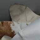 8x10 Faux Cowhide Area Rugs for Living Room, Animal Skins Cow Hide Rug for Bedroom, Cool Western Christmas Decor, Thin Leather Cow Hide Carpets Fireplace Rug, Brown