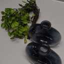 GAUIOGI 21" 6Pcs Artificial Ficus Branches Faux Stems with Vase, Decorative Bendable Realistic Stems with Vase, Fake Spray Branch Greenery Twig Plants for Home Office Wedding Table Decoration(Green)