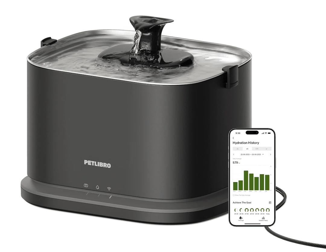 Dockstream 2 Smart Cordless Fountain