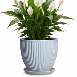 8 Inch Plant Pot Indoor, Ceramic Flower Pots with Drainage Hole and Saucer, Round Plant Pot for Indoor House Plants, Modern Plant Pot Indoor, Office Home Decor, House Warming Gifts, Light Blue