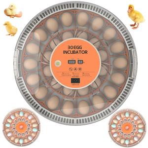 30 Egg Incubators for Hatching Chicken/Quail/Pigeon/Birds Eggs, Incubator with Automatic Egg Turning/Temperature Control/Humidity Display/Egg Candler/360View/Fully Automatic, for Beginner/Farm/Home