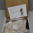 yadoker Plant Grow Light, LED Growing Light Full Spectrum for Indoor Plants,Height Adjustable, Automatic Timer, 5V Low Safe Voltage,Idea for Large Plant Light (2 Pack, Bamboo)