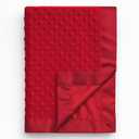 Pro Goleem Baby Soft Minky Dot Blanket with Silky Satin Backing Gift for Boys and Girls (Red, 30’’ x 40’’)