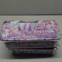 Clorox Scentiva Disinfecting Wet Mop Pad, Disposable Heads, Multi-Surface Floor Wipes, Lavender and Jasmine, 2 Packs, 24 Refills Per Pack 