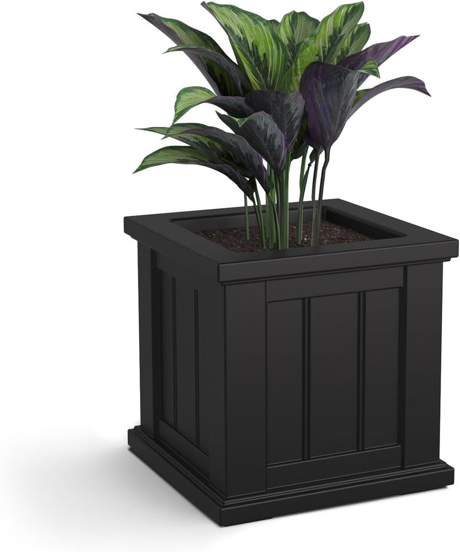 Mayne Cape Cod 14-Inch Square Planter  Self-Watering, Weather-Resistant Planter for Flowers  Durable Outdoor Design for Patio, Porch, or Entryway (Black)