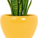 Deep Dream 8 Inch Plant Pots- Ceramic Pots for Plants with Drainage Hole and Saucer, Large Planter Pot for Indoor Plants Outdoor Decor, Yellow