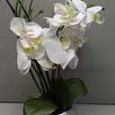 Artificial White Phalaenopsis Orchid Flower Arrangements Faux Orchid Flower in Silver Pot Orchid Centerpiece for Dining Room Table