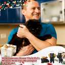 Soulchen 3 Pcs Cat Loss Sympathy Memorial Gifts, 2 Inch Mini Black Cat Angel Hanging Ornaments Christmas Pet Sympathy Memorial Gifts for Loss of Pet