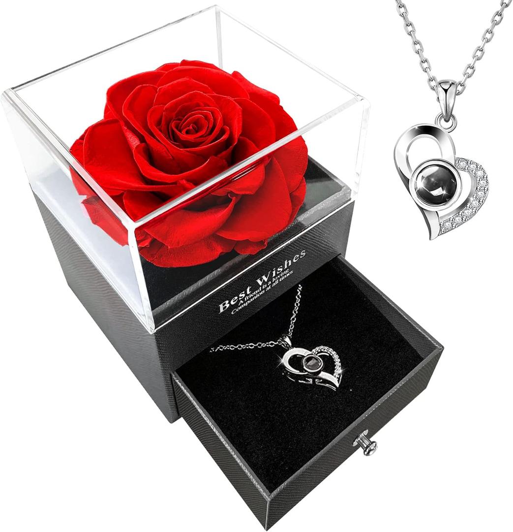 VANGOLD Gifts for Mom,Most Popular Valentine's Day Gifts,Gifts for Girlfriend I Love You Necklace in 100 Languages Gifts for Girlfrien