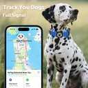 WhoseID Dog Collar with Waterproof AirTag Holder & Anti-Lost QR Code, Cute Bling Warpping Adjustable Width for Small Medium Large Pet (Black, S)