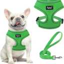 PUPTECK Soft Mesh Dog Harness and Leash Set Pet Puppy Cat Comfort Padded Vest No Pull Harnesses, Solid Green, M (M (NECK: 14", CHEST: 17"-21"))